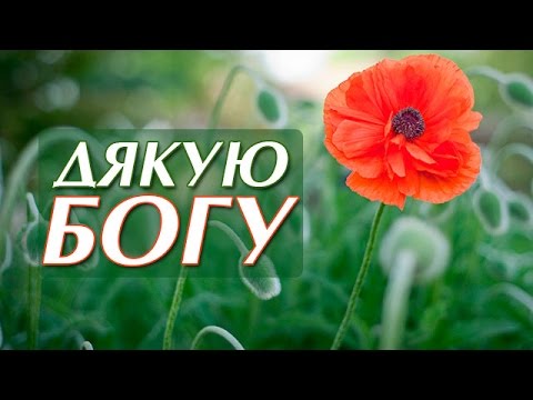 Молитва на новий рік.