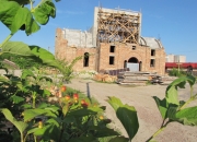 Bydivnutsvo_cherven_2015-08.JPG